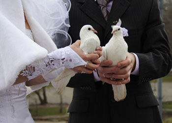 Символ любви и счастья: белые голуби